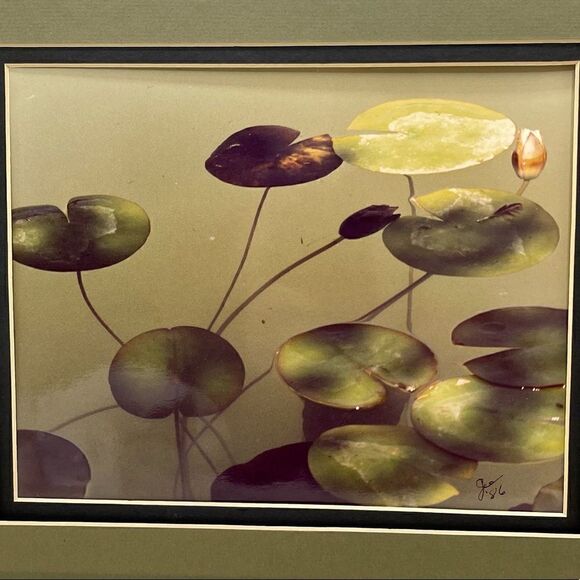 Waterlilies Lili Pad  Photograph Artist Signed Double Mat - Picture 5 of 9
